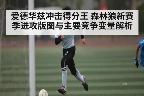 爱德华兹冲击得分王 森林狼新赛季进攻版图与主要竞争变量解析
